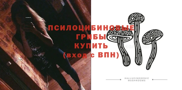 2c-b Абинск