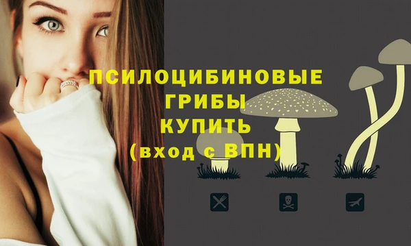 не бодяженный Абаза