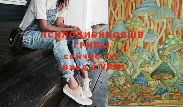 2c-b Абинск