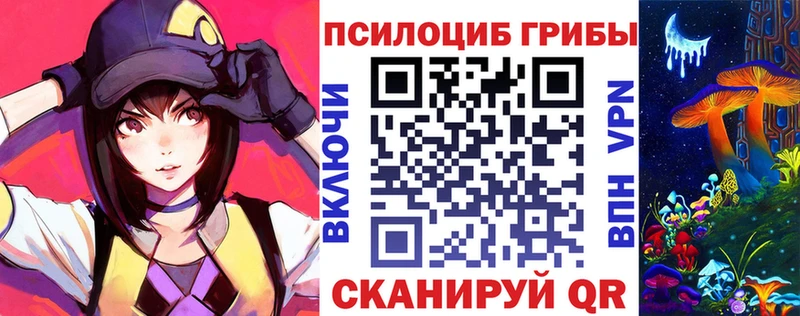 Псилоцибиновые грибы мицелий где найти наркотики Шахты