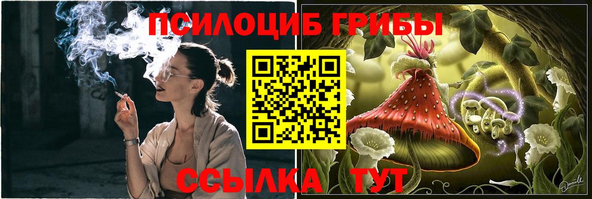 Галлюциногенные грибы Psilocybine cubensis  Галлюциногенные грибы ЛСД  как найти   Вход с VPN  Шахты 